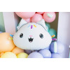 Balão Cakey 67cm